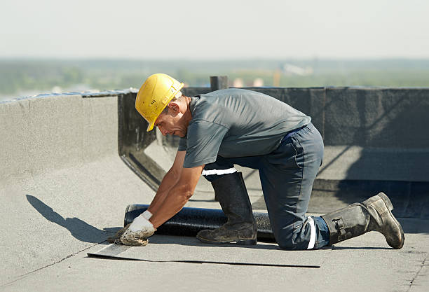 Best Insulation Maintenance and Repair in Oak Grove, SC